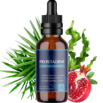 Prostadine: The # 1 Product for Prostate Health Review a Ultimate Natural Solution